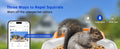 Wireless Smart Feeder Surveillance Camera for Birds