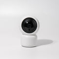 Wireless 1080P BigEye Graffiti Surveillance Camera