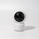 Wireless 1080P BigEye Graffiti Web Surveillance Camera