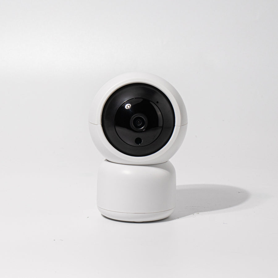 Wireless 1080P BigEye Graffiti Surveillance Camera