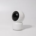 Wireless 1080P BigEye Graffiti Web Surveillance Camera