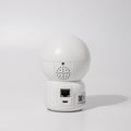 Wireless 1080P BigEye Graffiti Web Surveillance Camera