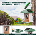 Wireless Smart Feeder Surveillance Camera for Birds