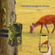 Premium Waterproof Solar Surveillance Camera for Animals - DL01-4G