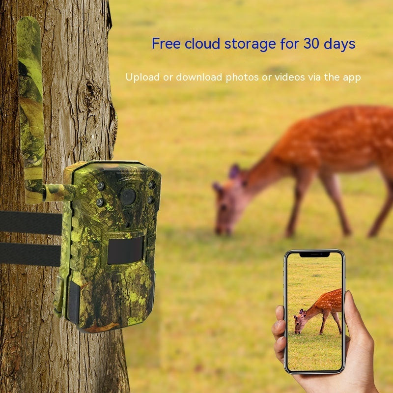 HD Waterproof Solar Surveillance Camera for Wildlife Detection