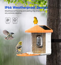 Wireless Smart Feeder Surveillance Camera for Birds